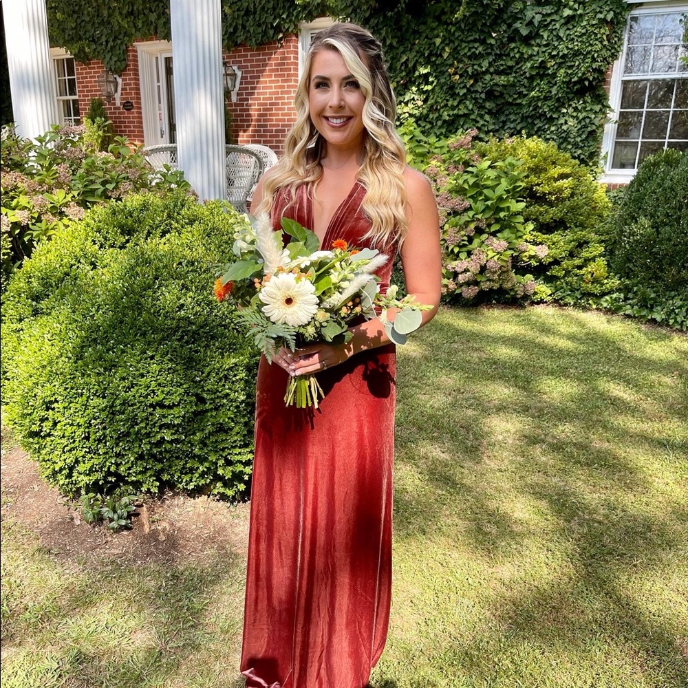 Revelry Dylan Velvet Dress